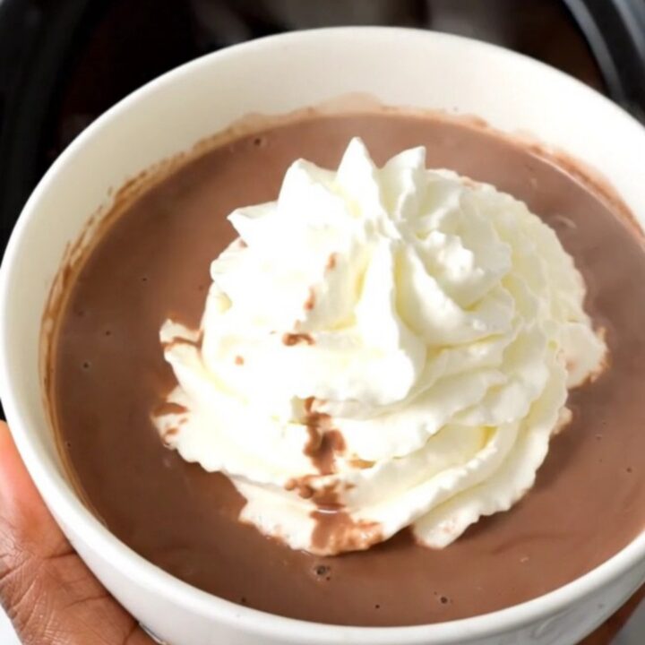 A steaming mug of rich dark hot chocolate topped with a swirl of whipped cream.