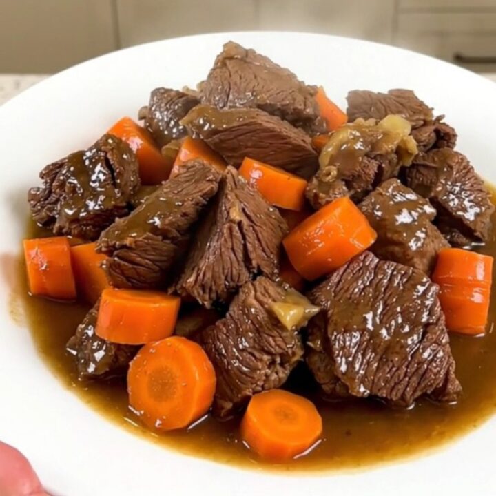 A close-up of a bowl of slow-cooked beef and carrots in a rich, dark broth.