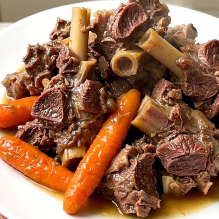 A close-up of a steaming bowl of lamb stew with carrots and cumin in a slow cooker.