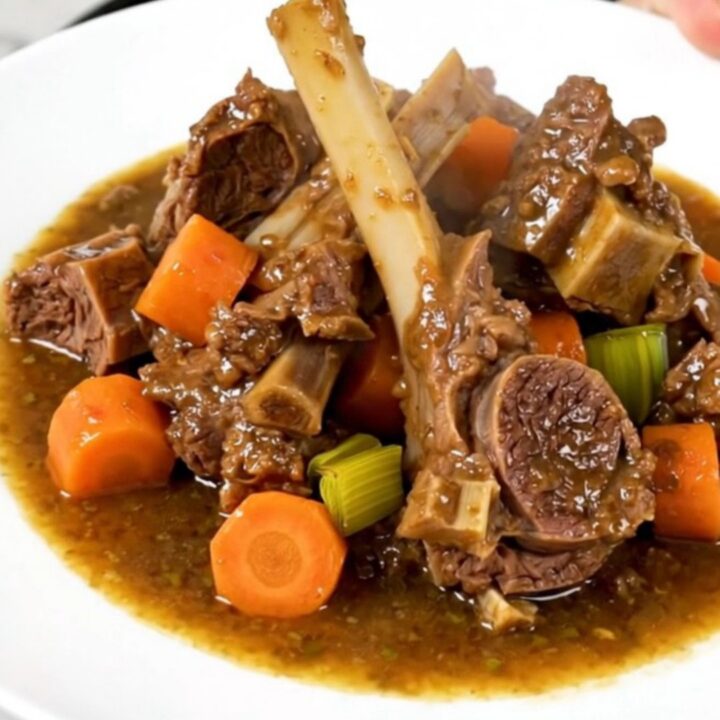 A steaming, glossy lamb stew served in a white bowl on a bright kitchen counter.
