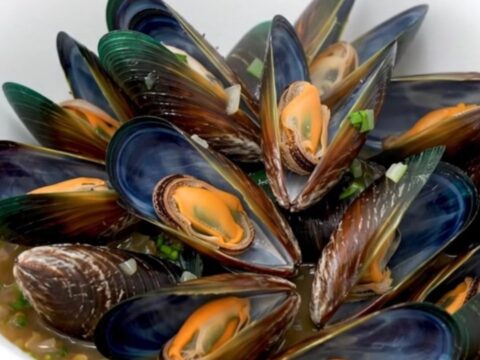 A top-down view of fresh raw mussels, sliced shallots, and herbs arranged in a slow cooker insert before cooking.