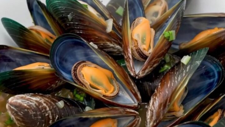 A top-down view of fresh raw mussels, sliced shallots, and herbs arranged in a slow cooker insert before cooking.