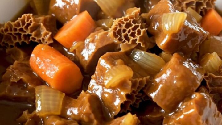 Bol de tripes à la mode de Caen fumantes avec une sauce brillante.