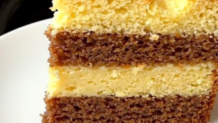 A close-up of a slice of vanilla magic cake showing three distinct layers on a white plate.