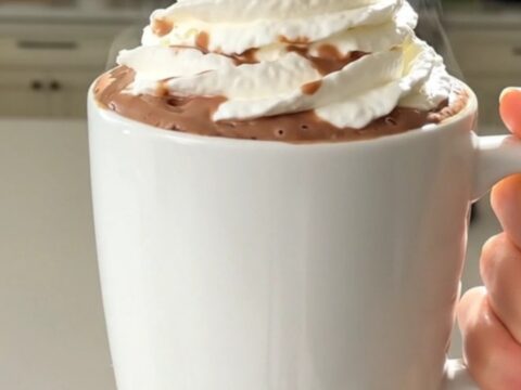 A steaming mug of rich, glossy hot chocolate topped with a swirl of whipped cream on a white countertop.
