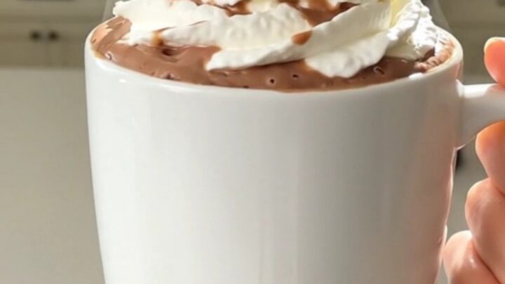 A steaming mug of rich, glossy hot chocolate topped with a swirl of whipped cream on a white countertop.