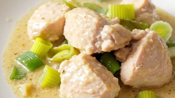 A steaming, creamy chicken and leek dish served on a clean, round white plate.
