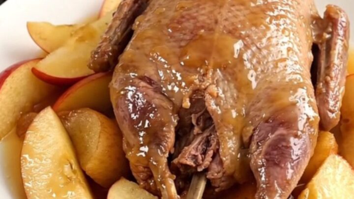 A rustic plate featuring slow-cooked guinea fowl pieces, tender apple wedges, and glazed shallots in a savory sauce.