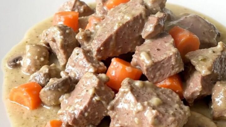 A steaming plate of creamy veal blanquette with carrots and pearl onions on a white plate.