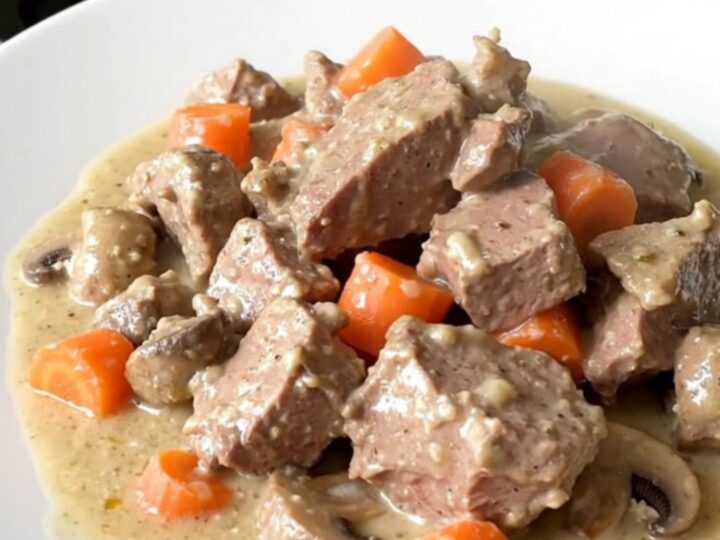 A steaming plate of creamy veal blanquette with carrots and pearl onions on a white plate.