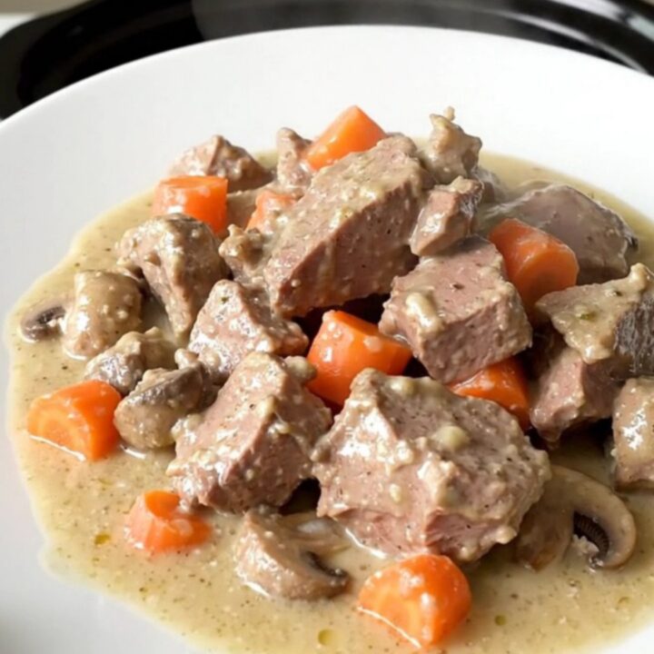 A steaming plate of creamy veal blanquette with carrots and pearl onions on a white plate.