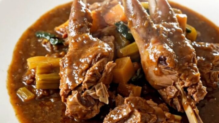 A close-up of a steaming bowl of rabbit stew featuring tender meat, vibrant carrots, and a rich, glossy red wine sauce.