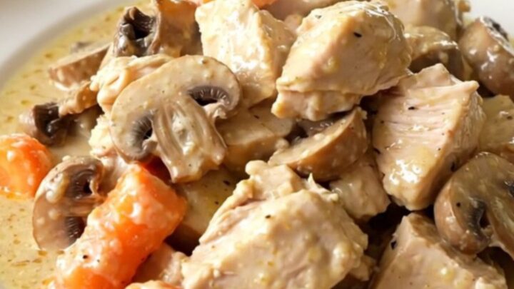 A white plate filled with creamy chicken blanquette featuring tender chicken cubes, vibrant carrot rounds