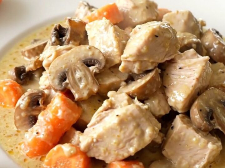 A white plate filled with creamy chicken blanquette featuring tender chicken cubes, vibrant carrot rounds