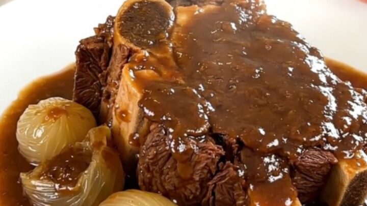 A rustic, steaming plate of slow-cooked beef chuck with pearl onions and bacon in a rich, dark sauce.