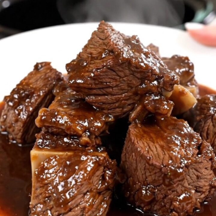 A rustic Provençal beef stew served in a white bowl, showcasing tender meat and carrots in a dark, glossy red wine sauce.