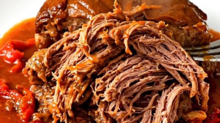 A tender lamb shoulder served on a white plate with rich red pepper sauce.