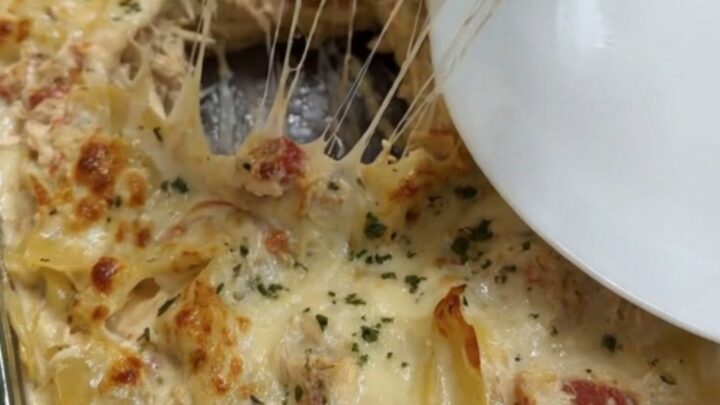 A close-up of a creamy chicken spaghetti lasagna bake with a golden brown cheese crust.