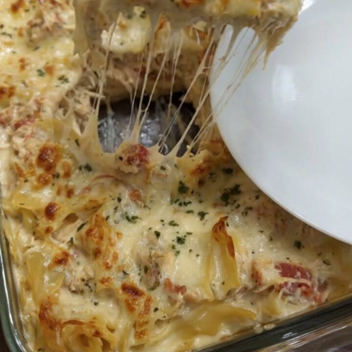 A close-up of a creamy chicken spaghetti lasagna bake with a golden brown cheese crust.