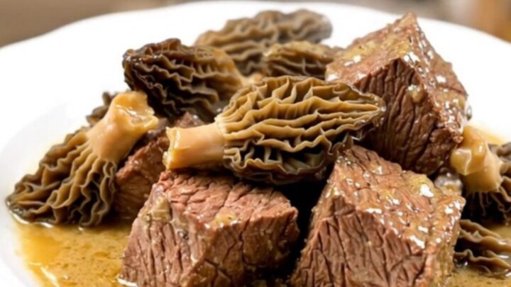 A close-up of tender braised beef cubes topped with morel mushrooms in a glossy, rich brown sauce on a white plate.