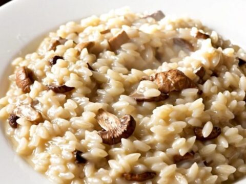 A top-down view of creamy porcini mushroom risotto in a white bowl, showing a glossy and steaming texture.
