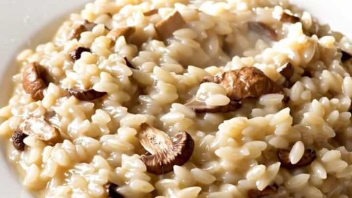 A top-down view of creamy porcini mushroom risotto in a white bowl, showing a glossy and steaming texture.