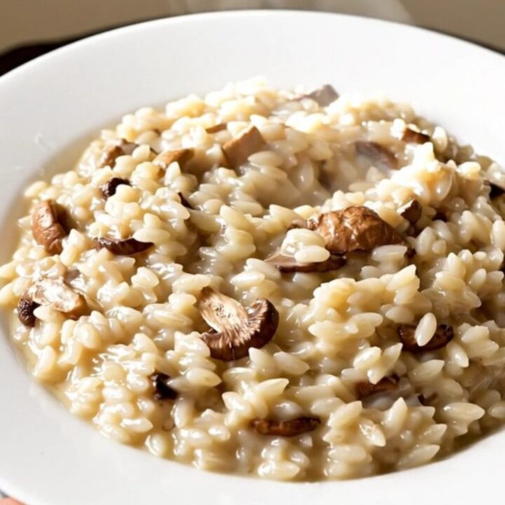 A top-down view of creamy porcini mushroom risotto in a white bowl, showing a glossy and steaming texture.