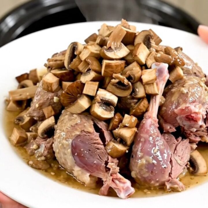 A close-up of slow-cooked guinea fowl with porcini mushrooms in a glossy white wine sauce on a white plate.