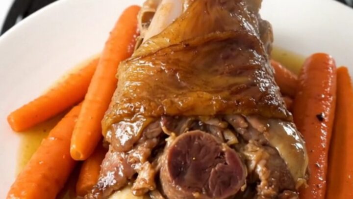 A rustic slow cooker filled with tender lamb shanks and sliced carrots in a savory wine reduction.