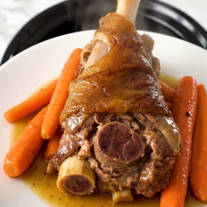 A rustic slow cooker filled with tender lamb shanks and sliced carrots in a savory wine reduction.