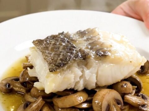 A plate of tender monkfish medallions braised with mushrooms and herbs.