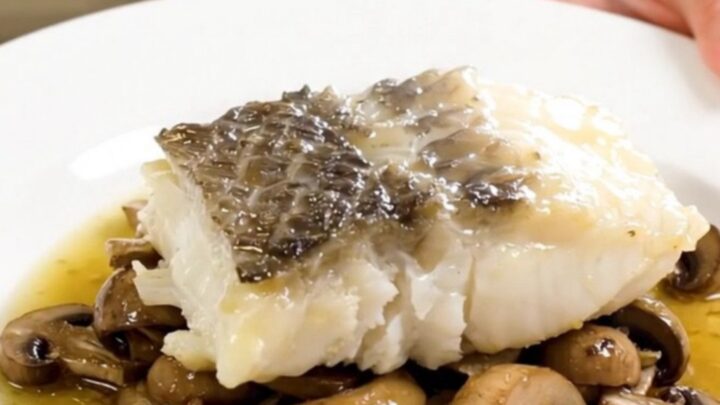 A plate of tender monkfish medallions braised with mushrooms and herbs.