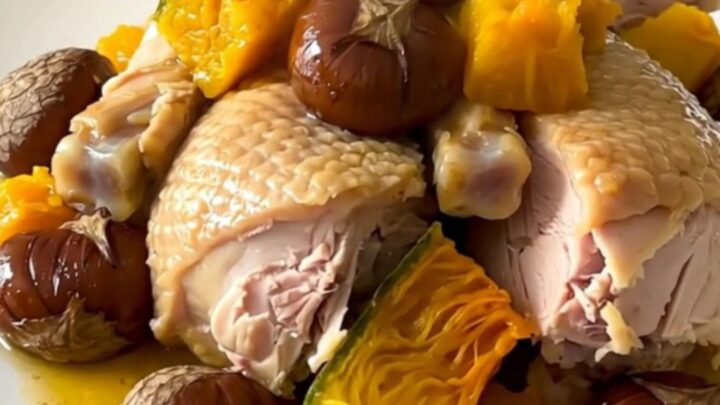 A steaming, glossy slow cooker turkey with pumpkin chunks served on a plain white round plate.
