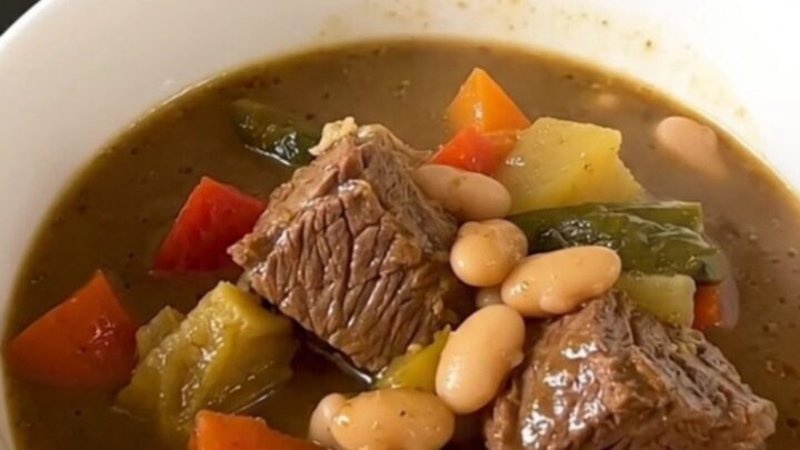 A white ceramic bowl filled with slow-cooked beef stew featuring visible chunks of beef, sliced carrots, and white beans.