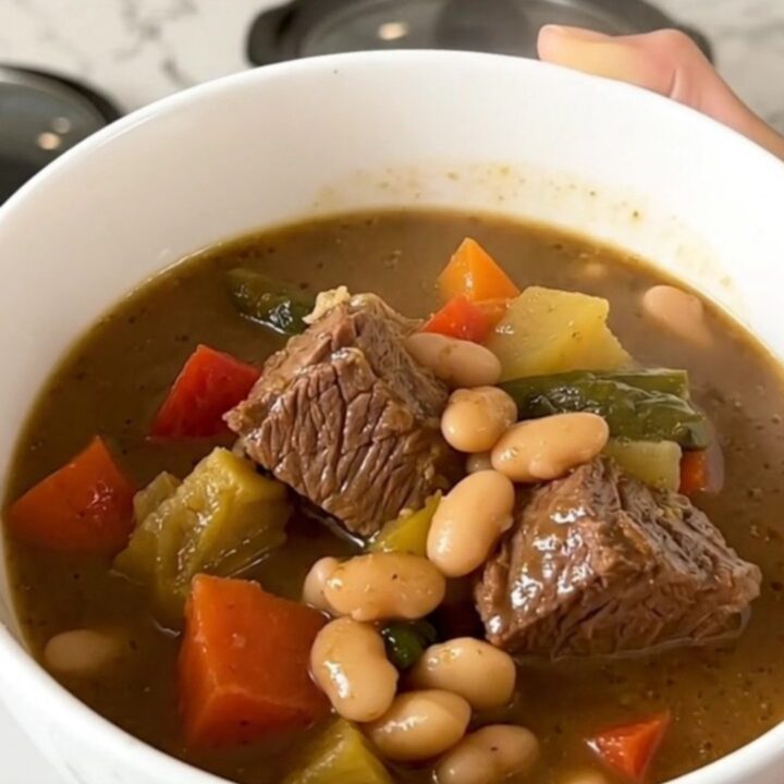 A white ceramic bowl filled with slow-cooked beef stew featuring visible chunks of beef, sliced carrots, and white beans.