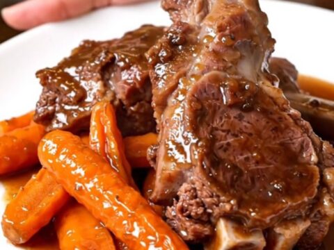 A rustic bowl of slow-cooked lamb chunks and glazed carrots in a dark, rich red wine sauce.