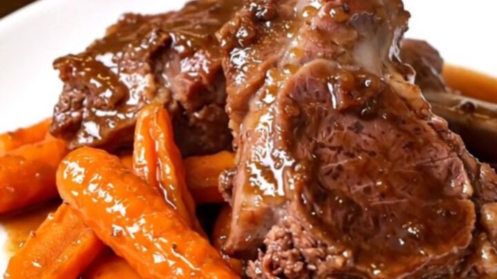 A rustic bowl of slow-cooked lamb chunks and glazed carrots in a dark, rich red wine sauce.