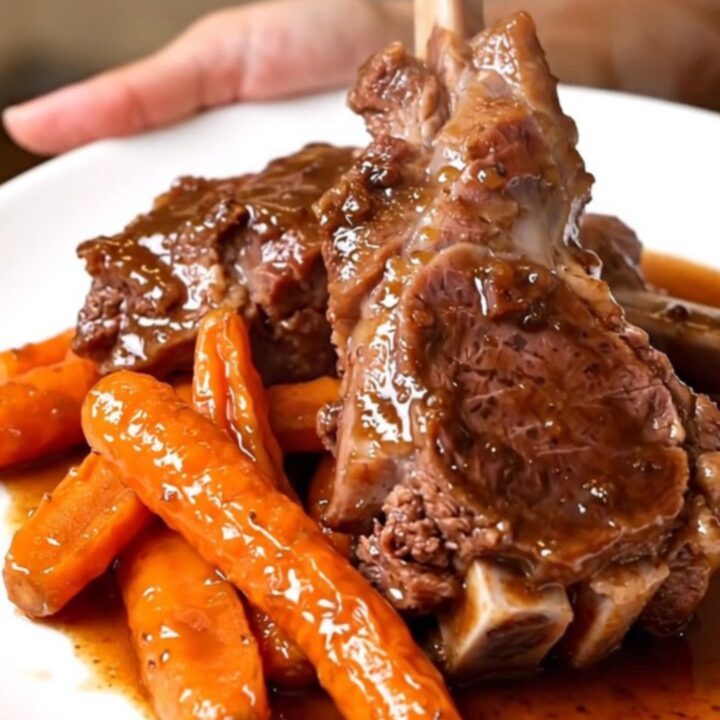 A rustic bowl of slow-cooked lamb chunks and glazed carrots in a dark, rich red wine sauce.