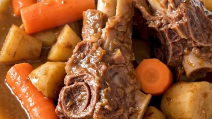 A rustic bowl of slow-cooked lamb navarin with tender carrots and parsnips in a rich tomato sauce.
