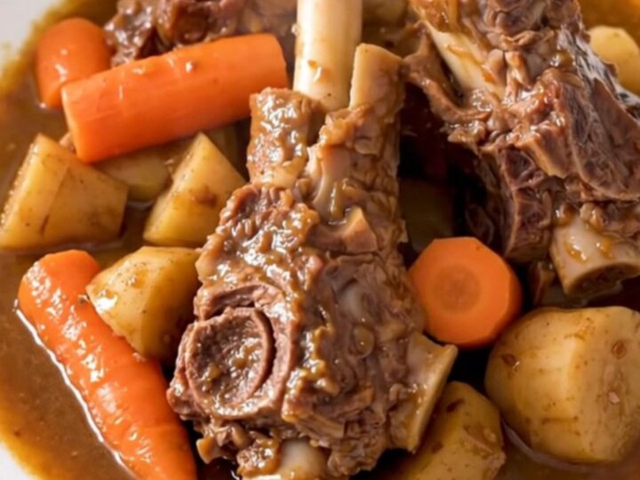 A rustic bowl of slow-cooked lamb navarin with tender carrots and parsnips in a rich tomato sauce.