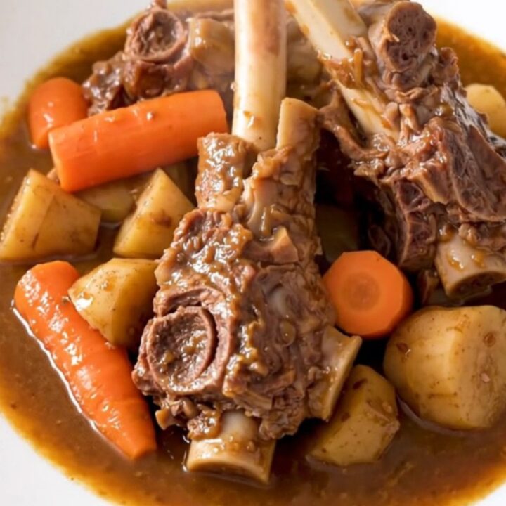 A rustic bowl of slow-cooked lamb navarin with tender carrots and parsnips in a rich tomato sauce.