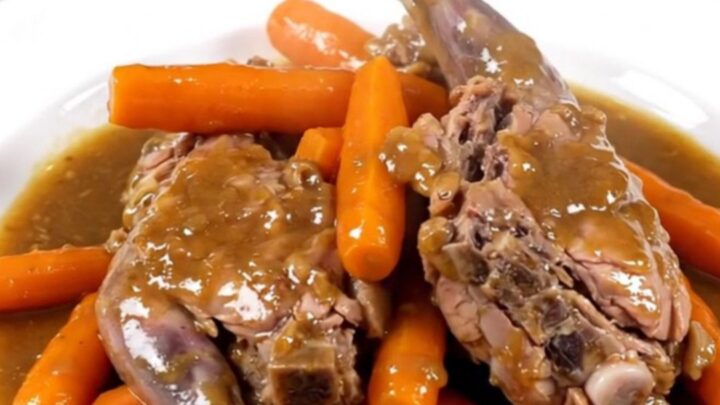 Slow cooked rabbit pieces served with tender sliced carrots on a white plate.