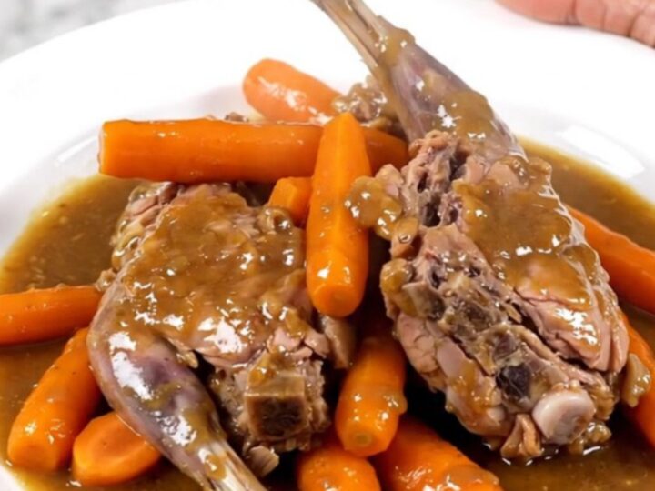 Slow cooked rabbit pieces served with tender sliced carrots on a white plate.