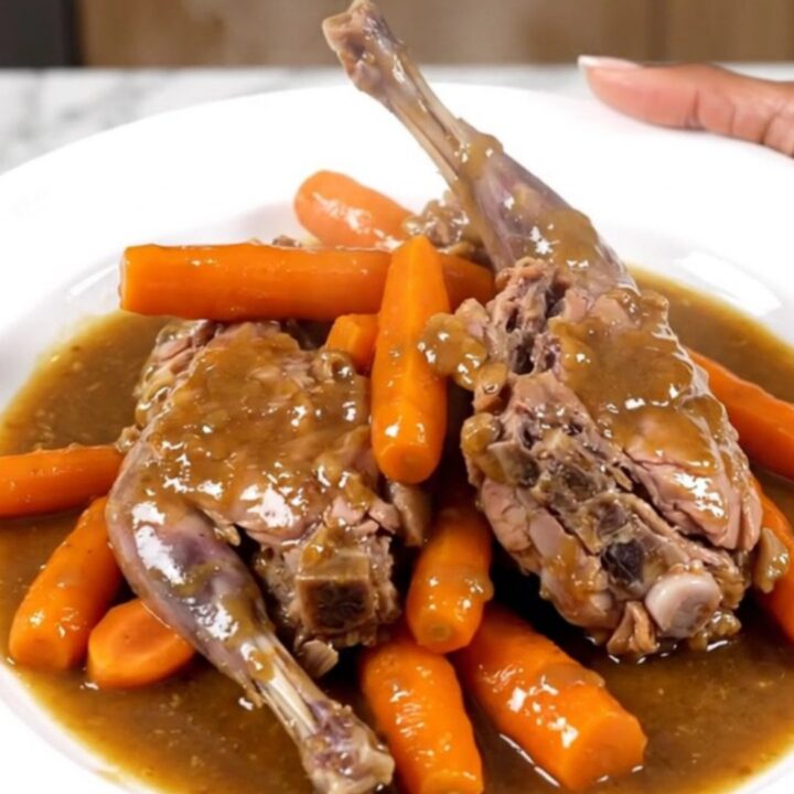 Slow cooked rabbit pieces served with tender sliced carrots on a white plate.