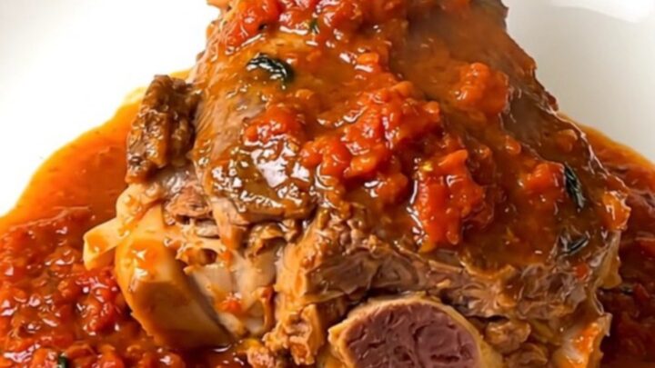 A close-up of a tender lamb shank in a rich tomato sauce on a white plate.