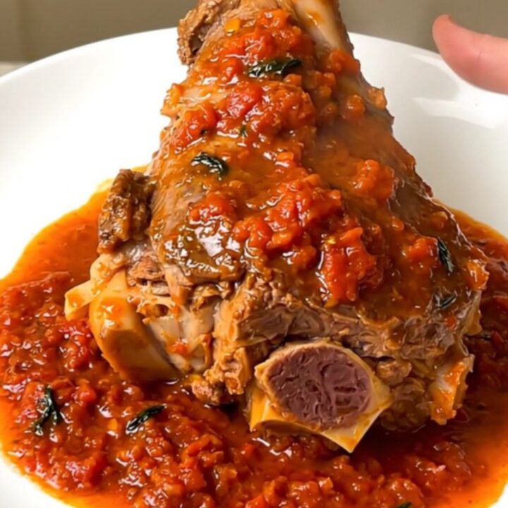 A close-up of a tender lamb shank in a rich tomato sauce on a white plate.