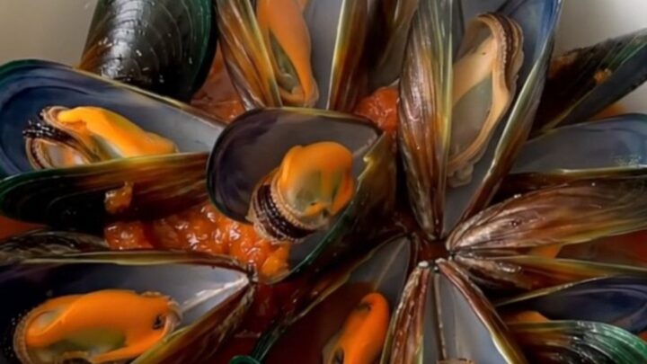 A bowl of steamed mussels in a rich crushed tomato sauce with herbs.