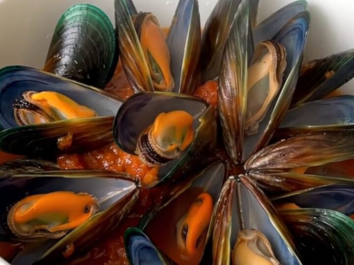 A bowl of steamed mussels in a rich crushed tomato sauce with herbs.