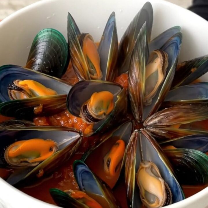 A bowl of steamed mussels in a rich crushed tomato sauce with herbs.