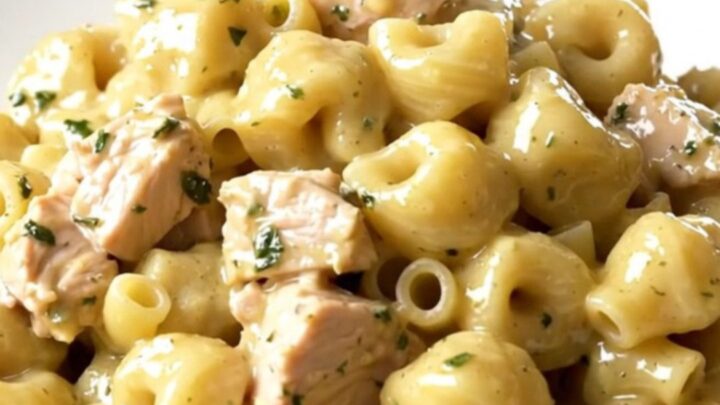 A top-down view of a black oval slow cooker filled with diced chicken, pasta, and a block of garlic herb cheese.